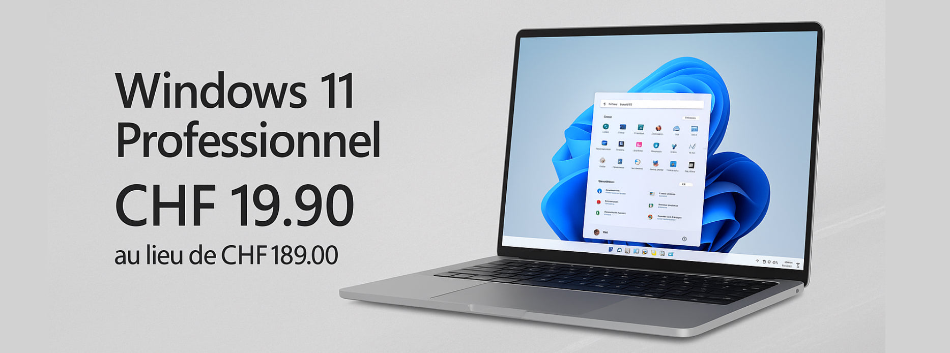 Licence windows 11 pro 